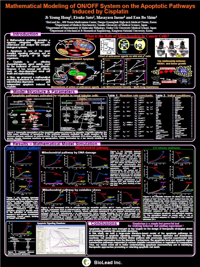 system