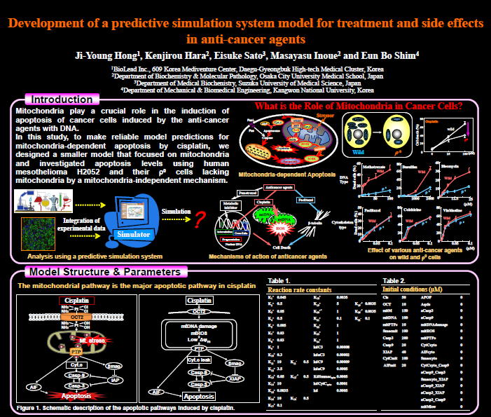 system