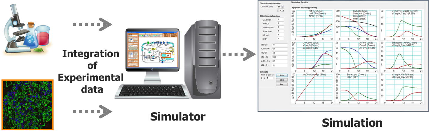 system